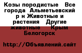 Козы породистые - Все города, Альметьевский р-н Животные и растения » Другие животные   . Крым,Белогорск